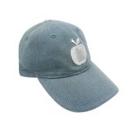 丽晨泽产品_0002_2.有logo盖住,只盖住字母，苹果图形留着