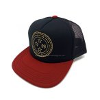 丽晨泽产品_0002_2