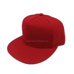 丽晨泽产品_0009_1