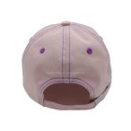 丽晨泽产品_0007_4 (1)