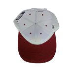 丽晨泽产品_0006_4