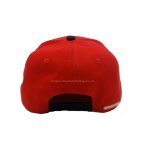 丽晨泽产品_0000_4logo遮一下_副本