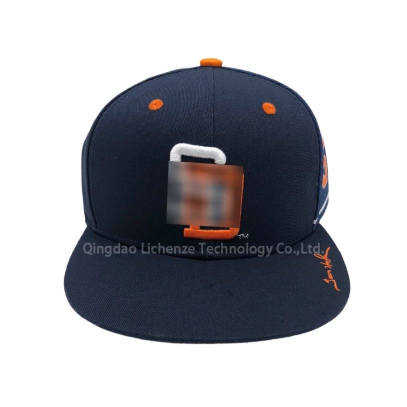 丽晨泽产品_0003_1.SD logo模糊处理一下