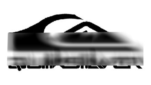 未标题-6_0001_QUICKSLIVER.png
