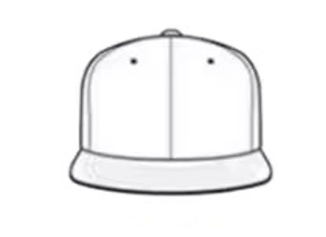 Flat Visor