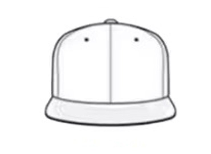 Flat Visor