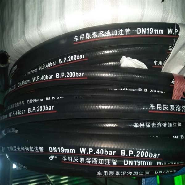 112409-5ZF6AQDQUMXD-859678