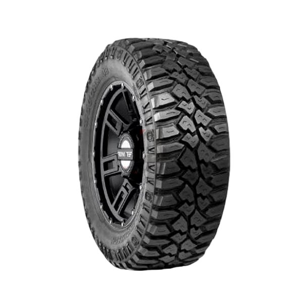 DEEGAN 38 TERRAIN BOUEUX