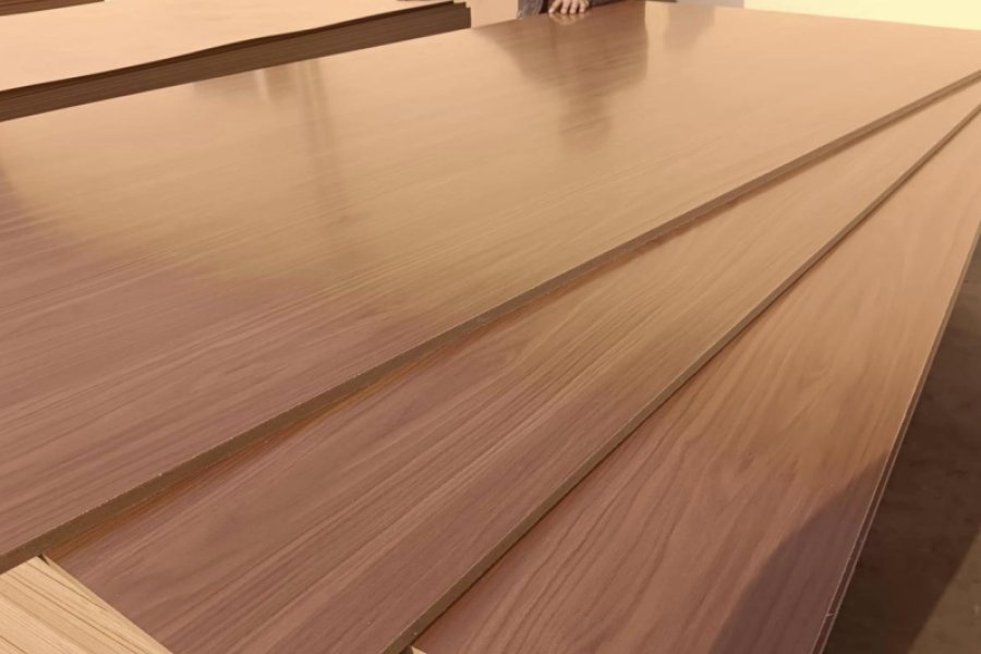 Introducing Our New Antibacterial Melamine