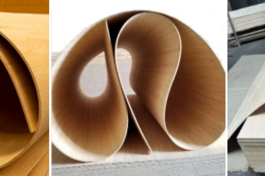 Bent Plywood: Redefining Furniture Design with Linying Ecowood Industries Co., Ltd. 