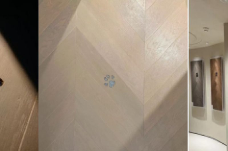 A Milky Way Hidden in the Wooden Floor