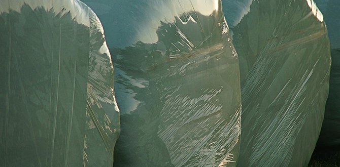 Silage wrap is far more than just plastic sheeting. 