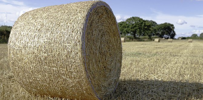 NETWRAP BALING TIPS
