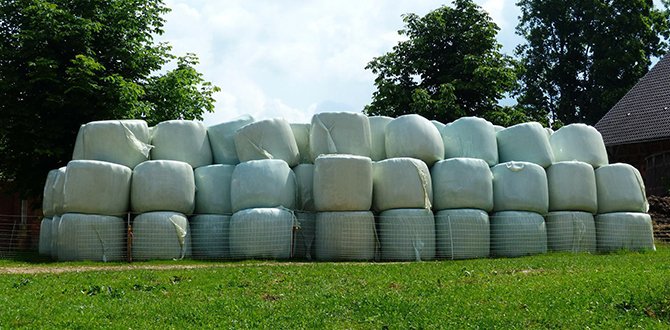 How to choose pasture film?