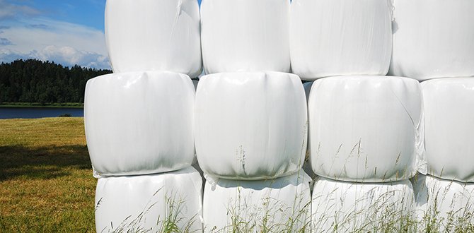 Why are bale nets priced differently?