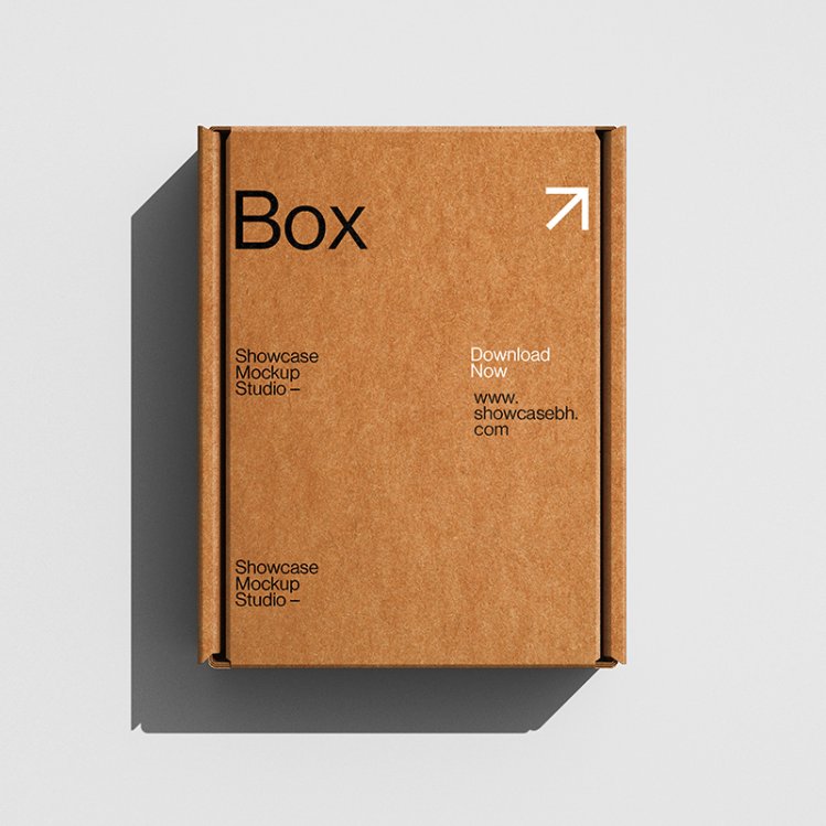 未标题-2_0001_BP_Box _01