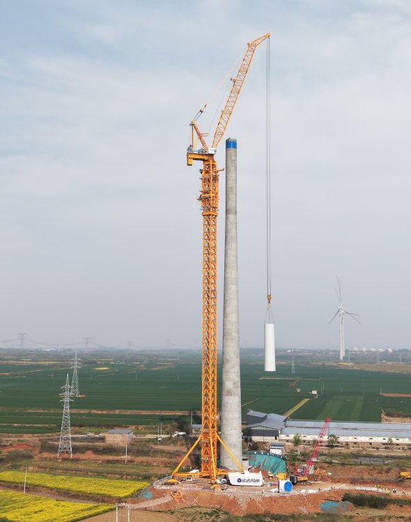 DHL3300 220ton Luffing Jib Tower Crane DAHAN